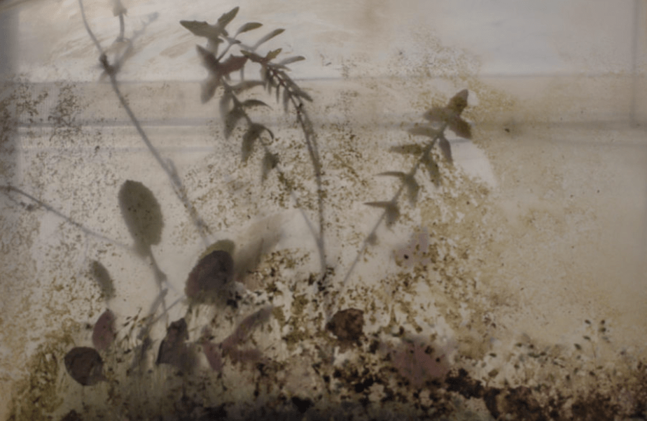 Deriva en el Poniente plastificado, una reflexión sobre la producción industrial bajo&nbsp;plástico